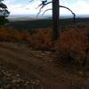 Ambling along the Wagonwheel Trail with views to the east.