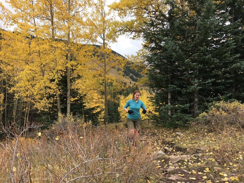 Running the Spring Creek Trail.