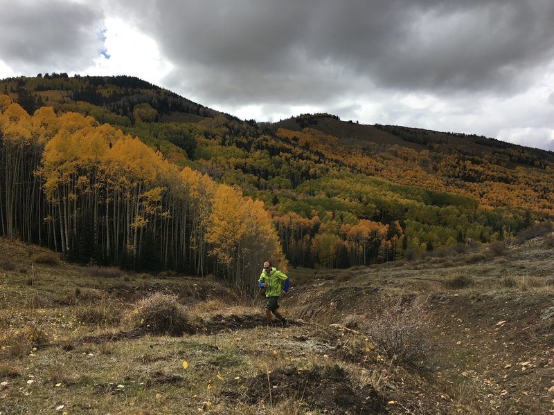 Fall colors on Spring Creek.