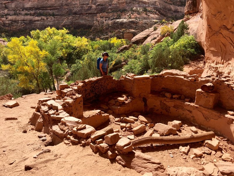 Kiva at the Junction Ruins.