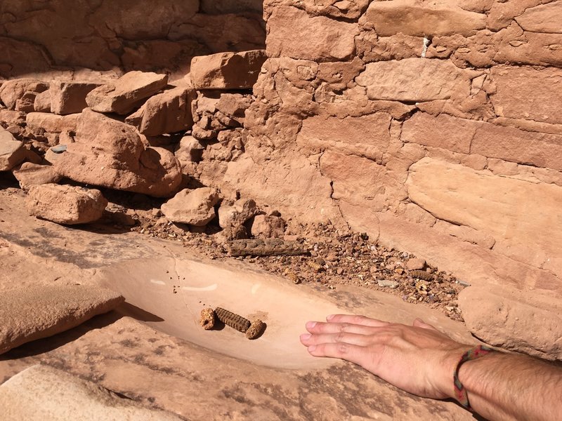 Grinding stone at the Junction Ruin.