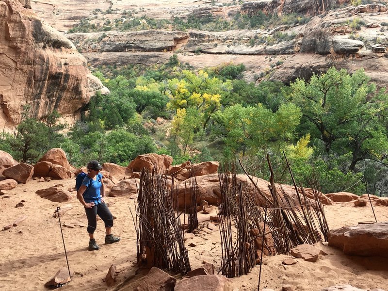 The turkey pen - 1,000 year old sticks still standing!