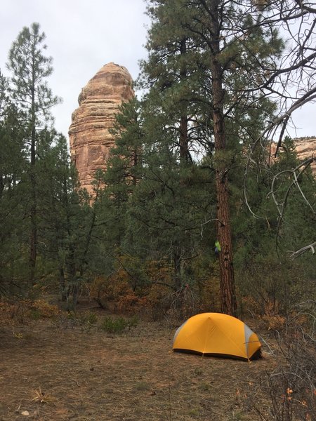 A nice little camp spot near the creek.