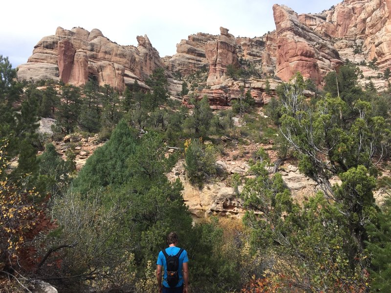 The sandstone features in this canyon are stunning.