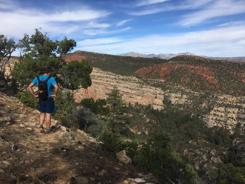 Looking down into the canyon from Posey Trail.