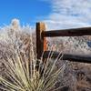 Garden of the Gods Park, Colorado Springs, CO.