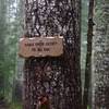 Eagle Creek Cutoff Trail takes off the Old Baldy Trail about 200 feet east of the trailhead. Photo by John Sparks.