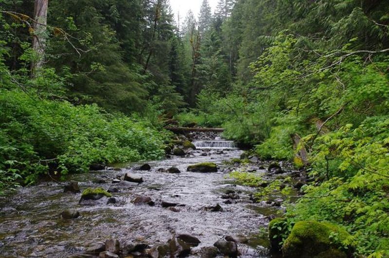 Eagle Creek at the end of the trail, is able to be forded most of the time with caution. Photo by John Sparks.