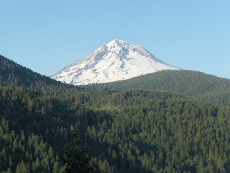 Mt. Hood view from Flag Mountain Trail. Photo by USFS.