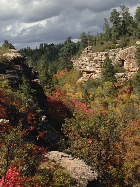 Fall colors in Devils Canyon.