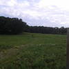 The trail is mowed by volunteers with a walk-behind brush mower.