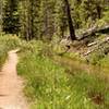 The trail along a stream.