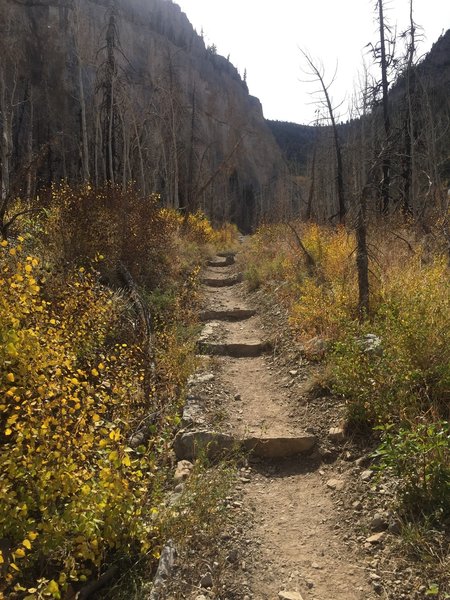 Beginning part of the trail going up.