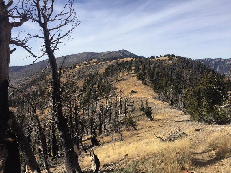 Looking back at the ridgeline towards Mt Charleston.