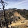 Looking back at the ridgeline towards Mt Charleston.