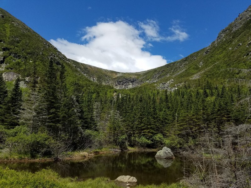 Tuckerman Ravine from Hermit Lake Shelters.