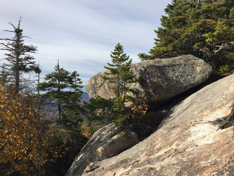 Blueberry Ledges.