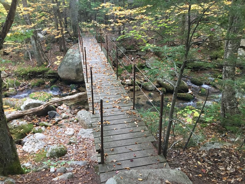 Bridge leading to the Blueberry Ledge Cutoff Trail.