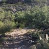 View of the trail leading to Lime Falls. The hill in the photo was a source of lime for the nearby kilns.