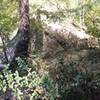 Boulder by the river.