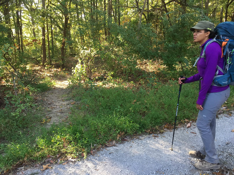 Intersection of trail 010 and Colbert Hollow-Spur approximately 0.5 miles S of where indicated on USFS maps.