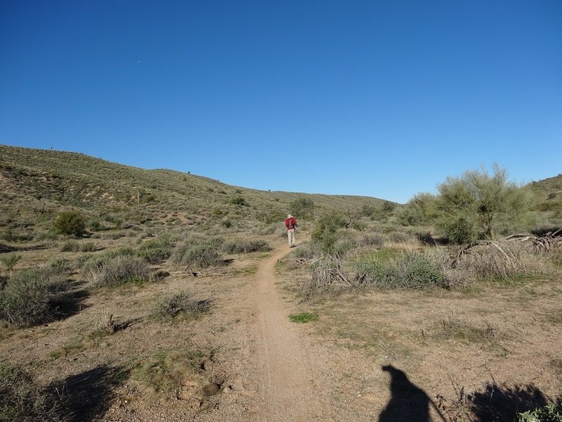 The Cinch Trail in the Lousley Hills at McDowell Mountain Regional Park. with permission from Maricopa-County-Parks