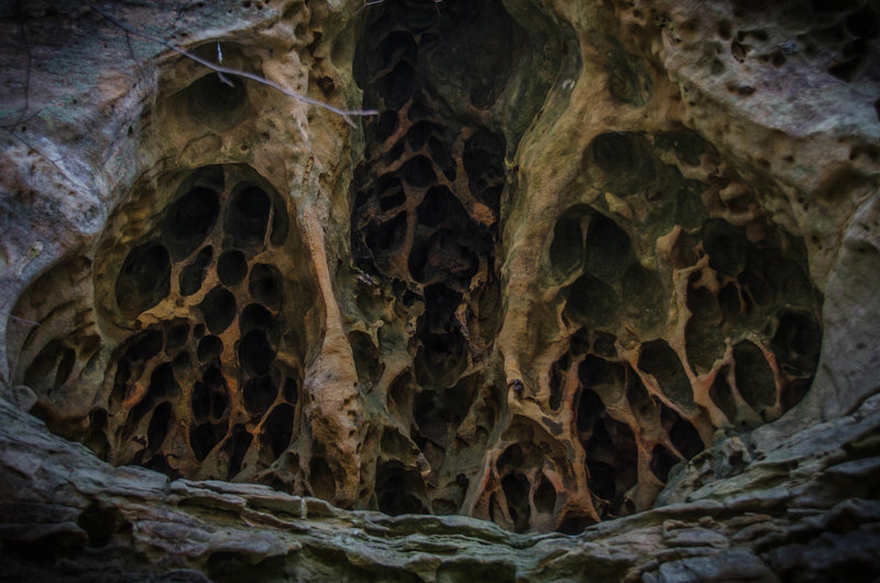 Some of the bizarre, organic shapes carved into the sandstone of the cliffs lining the riverbanks.