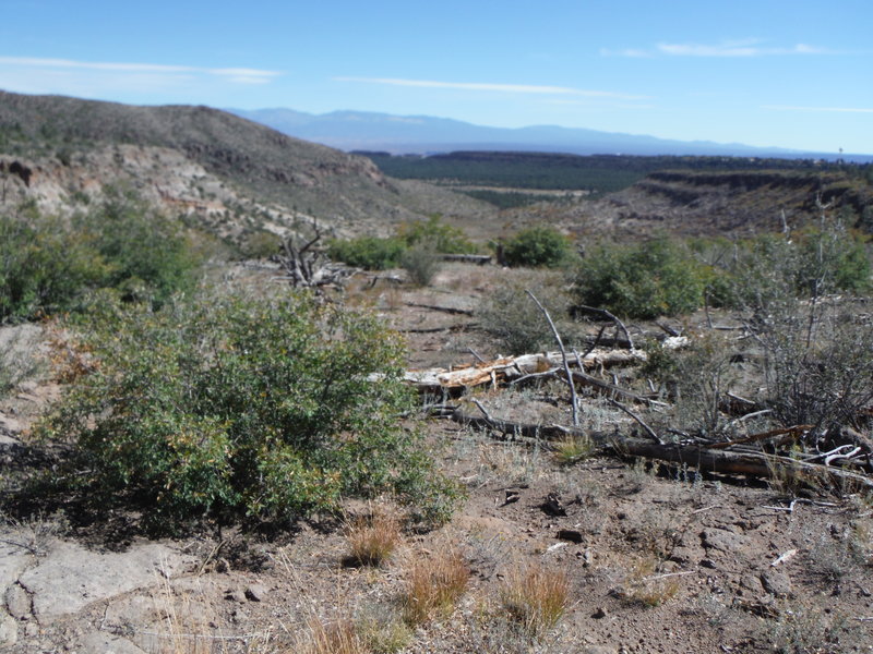 Cabra Canyon looking east towards the Sange de Cristo Mountains.