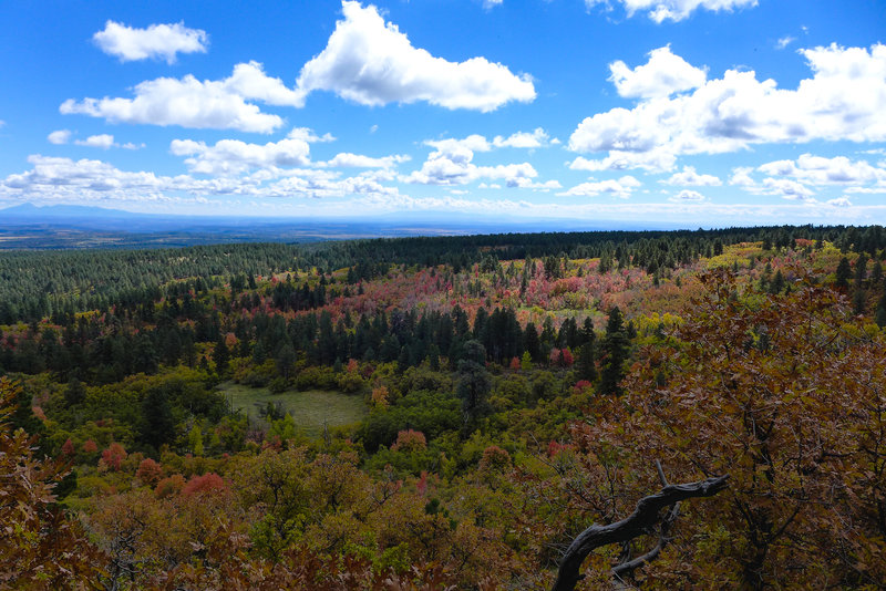 Fall views for miles.