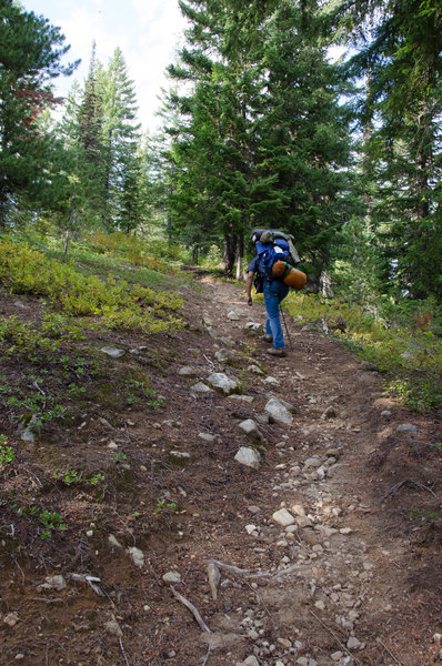 Part of the brutally steep, 3'000' climb up to Cady Ridge from the trailhead.