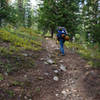 Part of the brutally steep, 3'000' climb up to Cady Ridge from the trailhead.