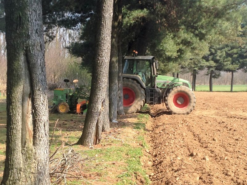 Activity into the field.