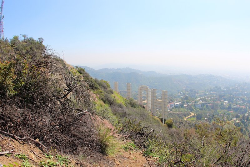 View from behind the Hollywood Sign.