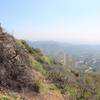 View from behind the Hollywood Sign.