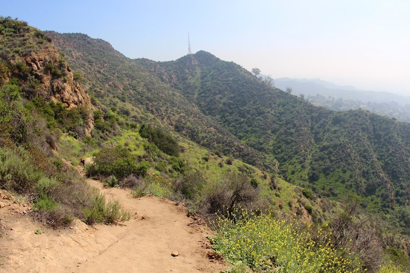 Heading up the Tree of Life Trail.