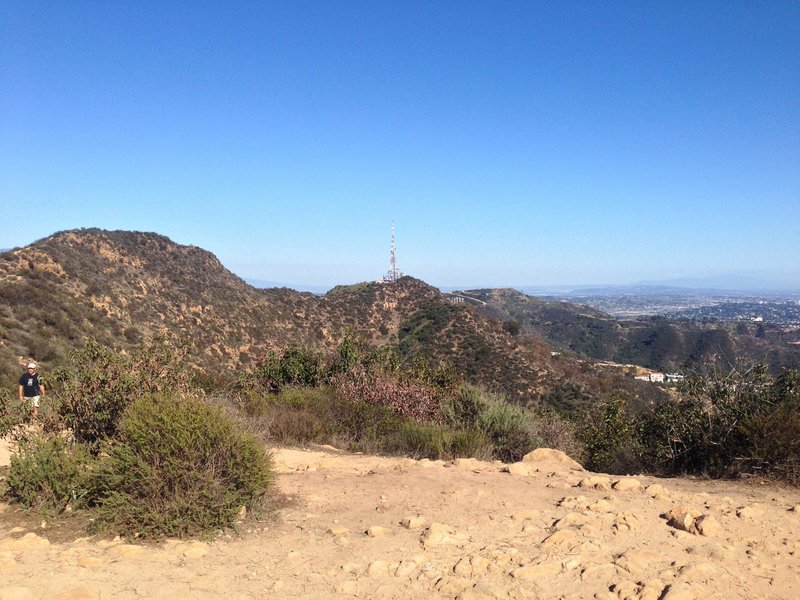 The view from the Wisdom Tree.