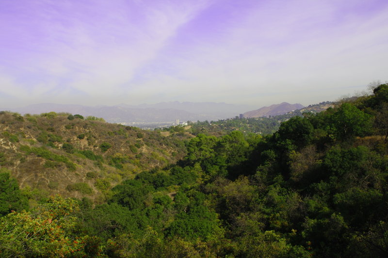 A beautiful view from Coldwater Canyon Park on the Betty B. Dearing Trail.