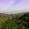 A beautiful view from Coldwater Canyon Park on the Betty B. Dearing Trail.