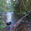 Lost Creek crossing near the beginning of the trail. No bridge exists so find a suitable crossing. Photo by Wanderingyunks.