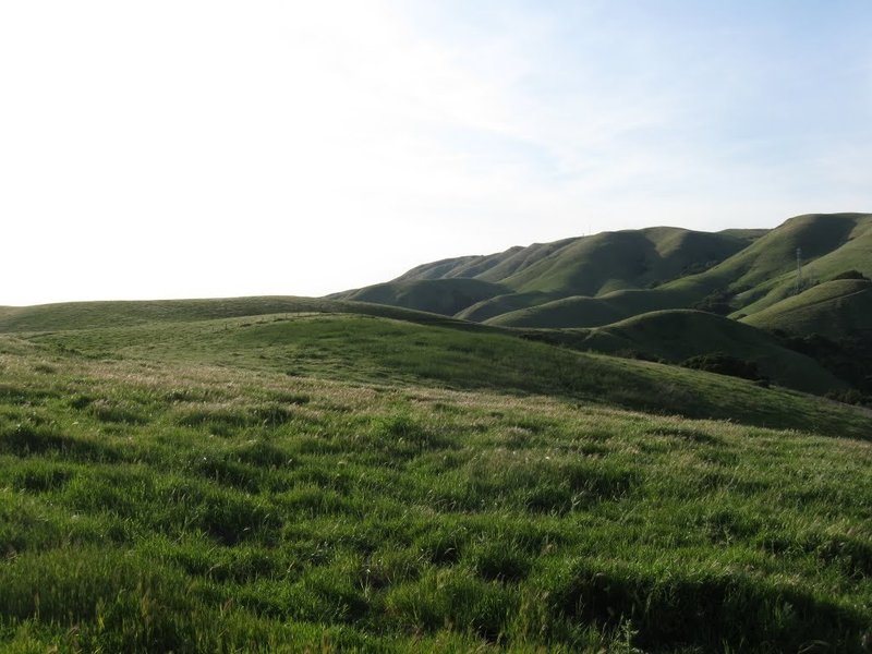 Hills of green heading up the Calaveras Ridge Regional Trail.