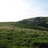 Hills of green heading up the Calaveras Ridge Regional Trail.