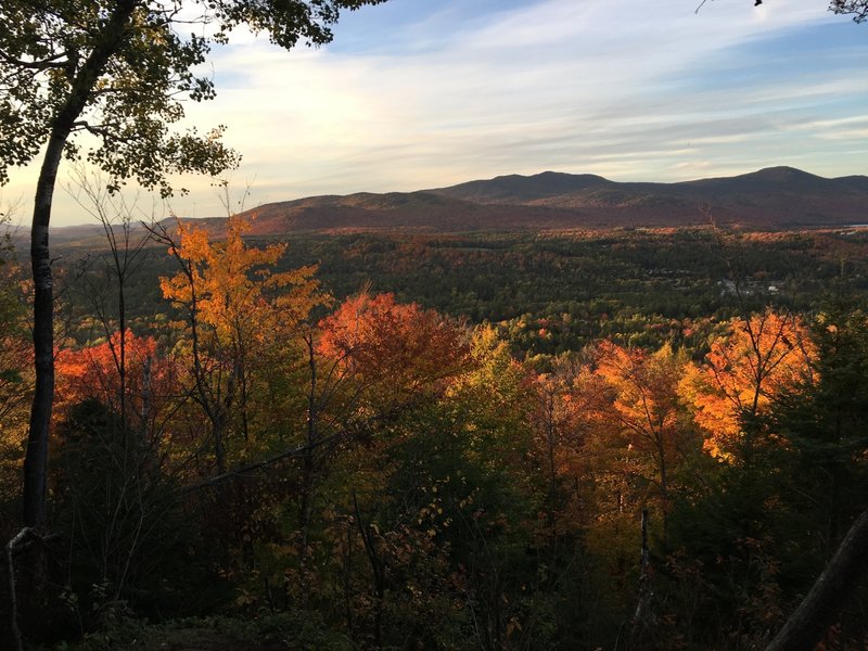 Fall on Henry's Woods.