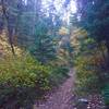 Some fall colors near the intersection of the Desolation and Thaynes Canyon trails