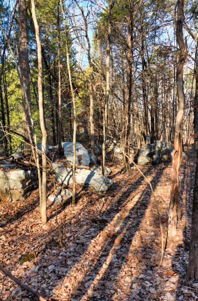 Long Hunter State Park.