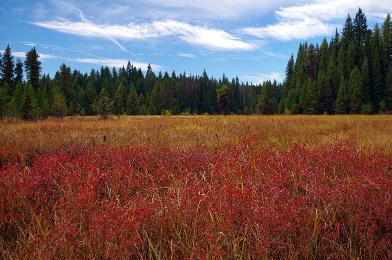 Little Crater meadow in fall. Photo by Gene Blick.