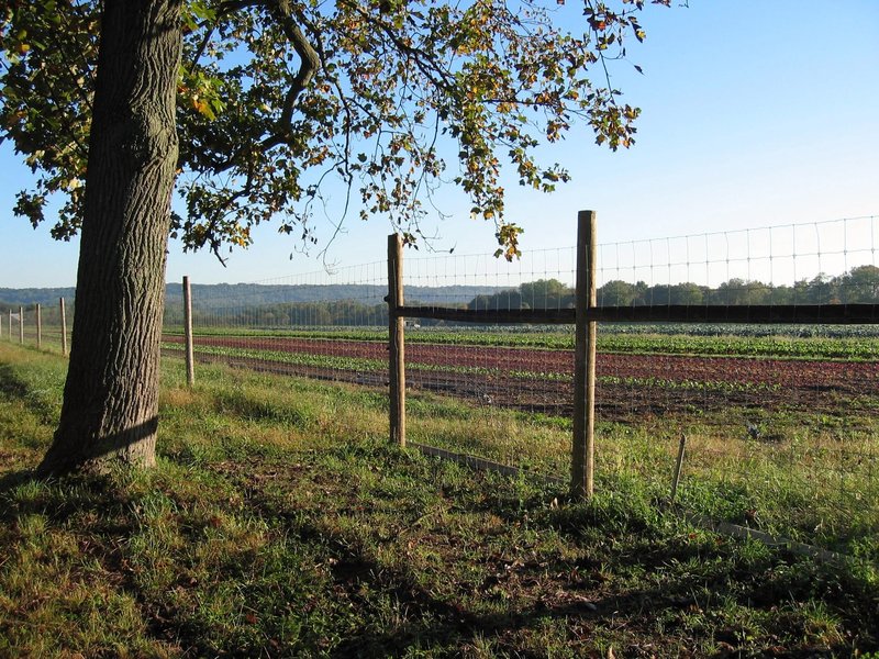 Honey Brook Organic Farm.