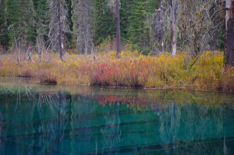 Little Crater Lake in fall with willows turning. Photo by Gene Blick.