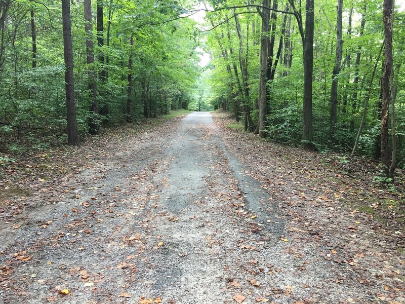 South Run Stream Valley Trail: gravel doubletrack ends and paved doubletrack begins.