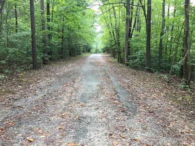 South Run Stream Valley Trail: gravel doubletrack ends and paved doubletrack begins.