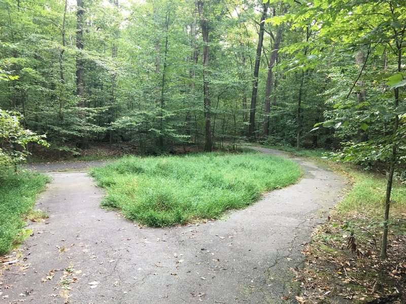 South Run Stream Valley Trail heading east. Main trail on right.